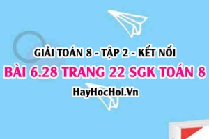 Bài 6.28 trang 22 Toán 8 Tập 2 Kết nối tri thức